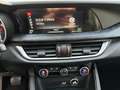 Alfa Romeo Stelvio Stelvio Turbodiesel 2.2 210cv AT8 Q4 VELOCE Grau - thumbnail 13