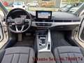 Audi A4 30 2.0 tdi mhev Business Advanced 136cv s-tronic Bianco - thumbnail 12