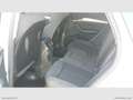 Audi Q5 40 TDI 204CV qu. S tr. S line plus Weiß - thumbnail 16