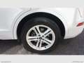 Audi Q5 40 TDI 204CV qu. S tr. S line plus Weiß - thumbnail 6