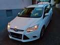 Ford Focus Focus 1.6 TI-VCT Titanium Weiß - thumbnail 6