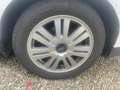 Ford Focus Focus 1.6 TI-VCT Titanium Weiß - thumbnail 13