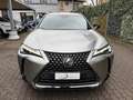 Lexus UX 250h 2.0 MIDNIGHT TELECAMERA POST. IVA ESP PREZZO REALE Gris - thumbnail 2