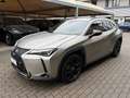 Lexus UX 250h 2.0 MIDNIGHT TELECAMERA POST. IVA ESP PREZZO REALE Gris - thumbnail 1