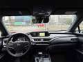 Lexus UX 250h 2.0 MIDNIGHT TELECAMERA POST. IVA ESP PREZZO REALE Gris - thumbnail 22