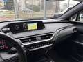Lexus UX 250h 2.0 MIDNIGHT TELECAMERA POST. IVA ESP PREZZO REALE Gris - thumbnail 14