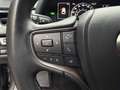 Lexus UX 250h 2.0 MIDNIGHT TELECAMERA POST. IVA ESP PREZZO REALE Gris - thumbnail 12