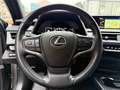 Lexus UX 250h 2.0 MIDNIGHT TELECAMERA POST. IVA ESP PREZZO REALE Gris - thumbnail 10