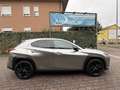 Lexus UX 250h 2.0 MIDNIGHT TELECAMERA POST. IVA ESP PREZZO REALE Gris - thumbnail 4