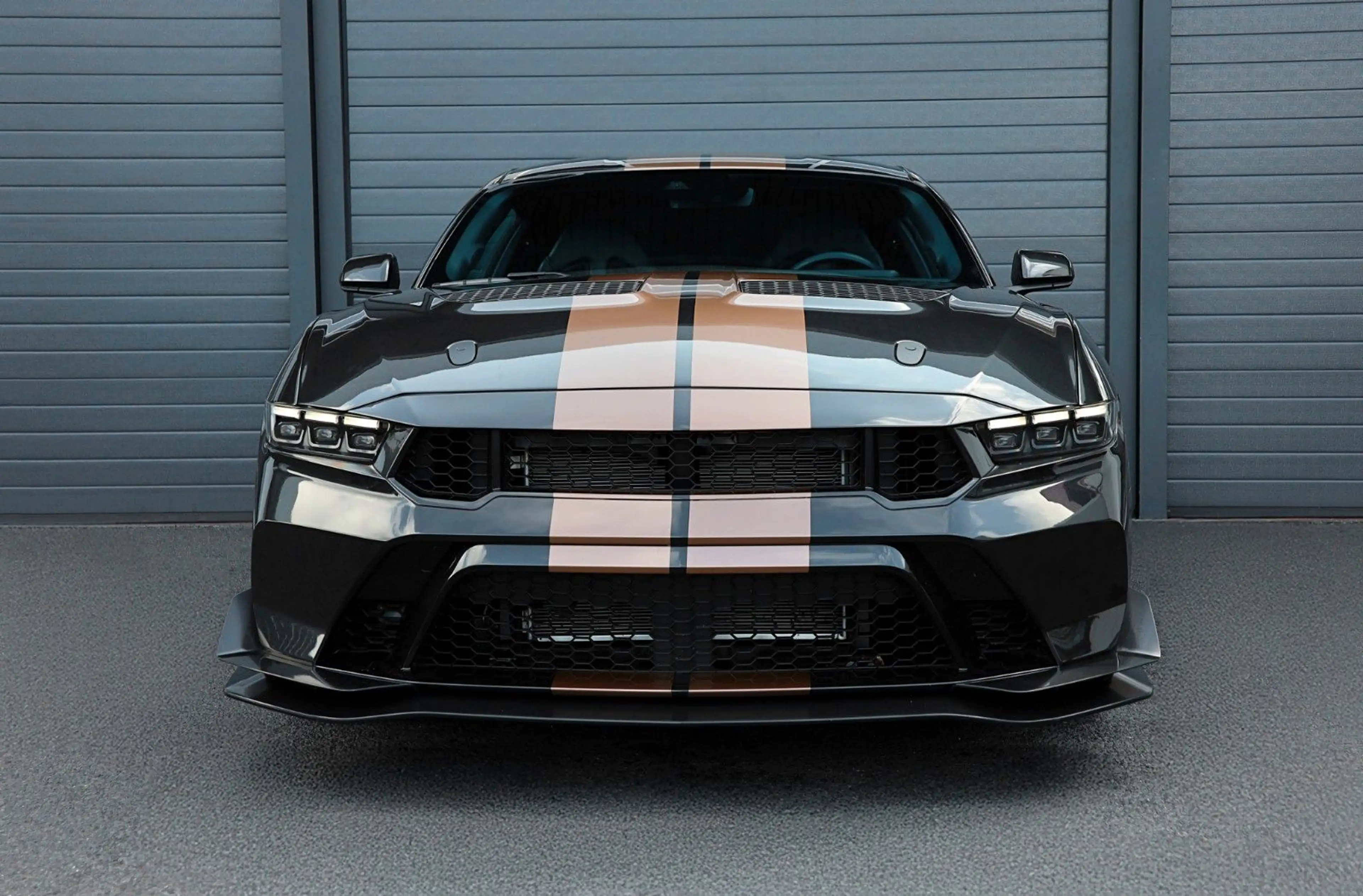Ford Mustang 5.0 GT/RECARO/BREMBO/ACC/B&O/LHZ/TOTW/19 — photo 3