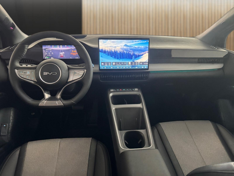 BYD Dolphin G DM-i Comfort — photo 11