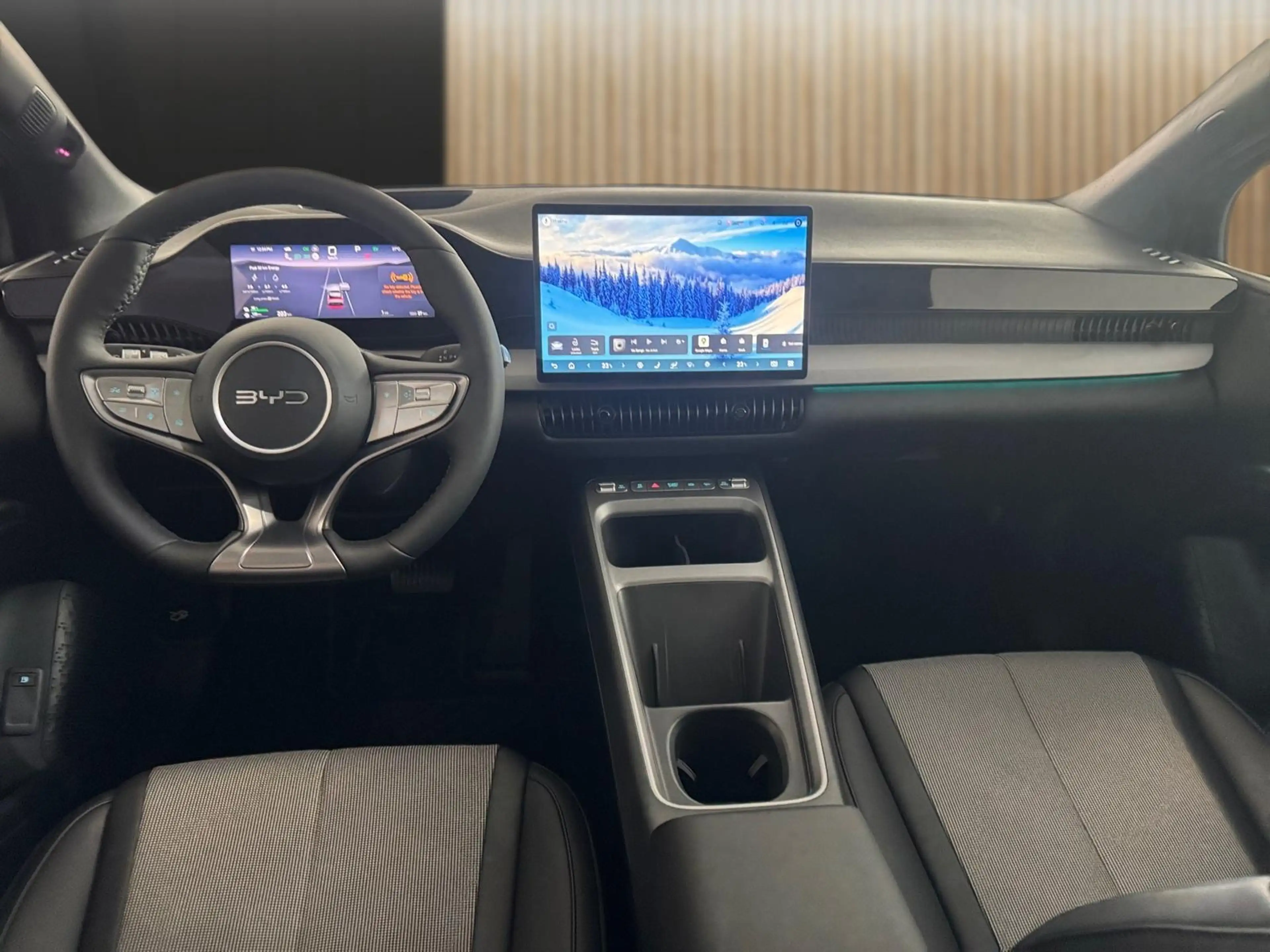 BYD Dolphin G DM-i Comfort — photo 11