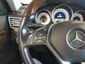Mercedes-Benz E 350 E 350 Coupe BlueTEC/d*LED+Pano+SHgpfl+TMP+Kamera Gris - thumbnail 11