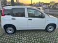 Fiat Panda 1.0 GSE  Hybrid Pop Van 2 posti BLUETHOOT KM CERTF Blanc - thumbnail 4