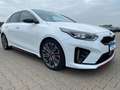Kia Ceed / cee'd /GT/VOLL Bílá - thumbnail 15