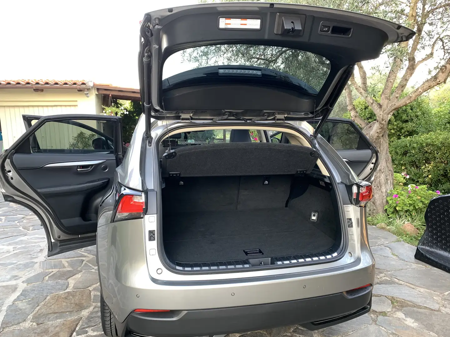 Lexus NX 300h Executive-Line Argento - 2