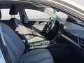SEAT Leon SP Style 1.5 eTSI 150 PS DSG Weiß - thumbnail 14