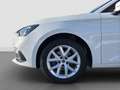 SEAT Leon SP Style 1.5 eTSI 150 PS DSG Weiß - thumbnail 18