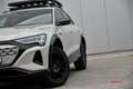 Audi Q8 e-tron Q8 e-tron 55 quattro edition Dakar Beige - thumbnail 7