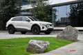 Audi Q8 e-tron Q8 e-tron 55 quattro edition Dakar Beige - thumbnail 14