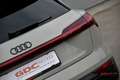 Audi Q8 e-tron Q8 e-tron 55 quattro edition Dakar Beige - thumbnail 22