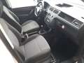 Volkswagen Caddy 2,0 TDI Kasten BMT, Dachgalerie, Regalsystem Weiß - thumbnail 12