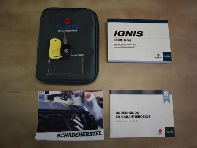 Suzuki Ignis view 21