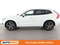 Volvo XC60 2.0 T8 Plug-in Hybrid R-Design AWD Weiß - thumbnail 3