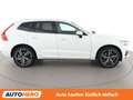 Volvo XC60 2.0 T8 Plug-in Hybrid R-Design AWD Weiß - thumbnail 7