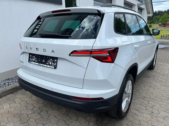 Skoda Karoq view 6