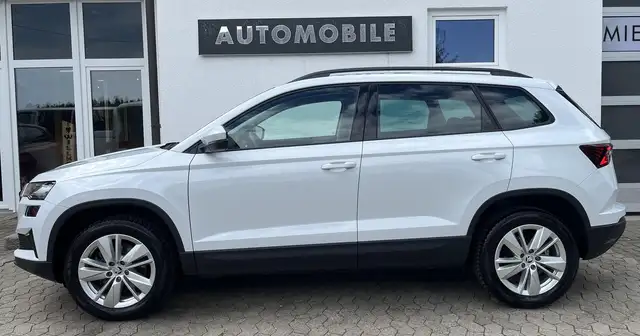 Skoda Karoq view 4