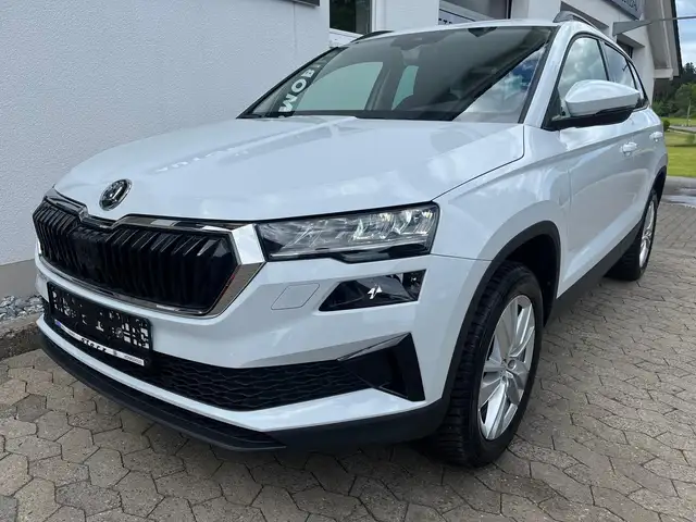 Skoda Karoq view 2