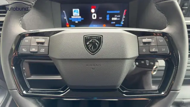 Peugeot Traveller view 9