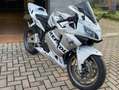 Honda CBR 600 Rr Blanc - thumbnail 2