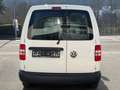 Volkswagen Sonstige Caddy Maxi 1.6 TDI KLIMA DSG Weiß - thumbnail 5