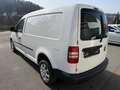 Volkswagen Sonstige Caddy Maxi 1.6 TDI KLIMA DSG Weiß - thumbnail 6