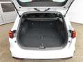 Kia Ceed SW / cee'd SW 1.5 T-GDi DCT Spirit LED|Navi|SHZ Weiß - thumbnail 23