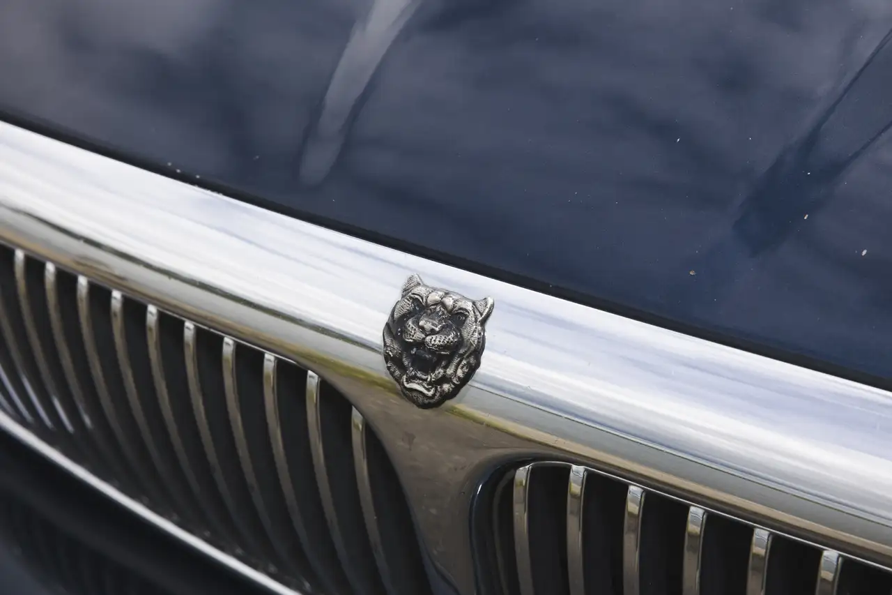 Jaguar Sovereign 3.2 V8, foto 11