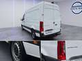 Mercedes-Benz Sprinter 317 CDI RWD L2 H2 HU NEU INSP.NEU Weiß - thumbnail 10