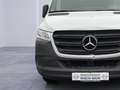 Mercedes-Benz Sprinter 317 CDI RWD L2 H2 HU NEU INSP.NEU Weiß - thumbnail 13