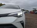 Toyota C-HR 2.0 Team D ACC AUT LED Navi Fernlichtass. - thumbnail 8
