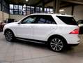 Mercedes-Benz ML 250 d 4Matic BLUETEC - Edition 16 Alb - thumbnail 5