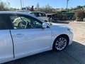 Lexus CT 200h CT 2010 1.8 Executive / dynamic cvt 136 cv Blanc - thumbnail 19
