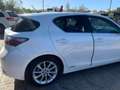 Lexus CT 200h CT 2010 1.8 Executive / dynamic cvt 136 cv Bianco - thumbnail 13