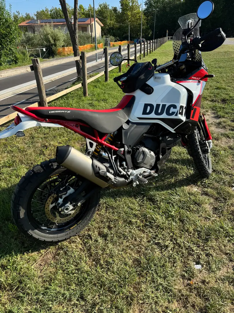 Ducati DesertX Rally Blanco - 1