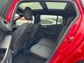 Ford Focus Turnier ST-Line,AHK,Panorama,10.791km Rouge - thumbnail 10