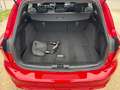 Ford Focus Turnier ST-Line,AHK,Panorama,10.791km Rouge - thumbnail 8