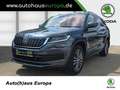 Skoda Kodiaq 2.0 TDI DSG L&K ACC Navi Kam360 Pano AHK eSitze 4x Gris - thumbnail 1