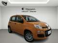 Fiat Panda 1.0 firefly hybrid s Orange - thumbnail 3