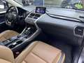 Lexus LEXUS NX Todoterreno  Automático de 5 Puertas Grau - thumbnail 18